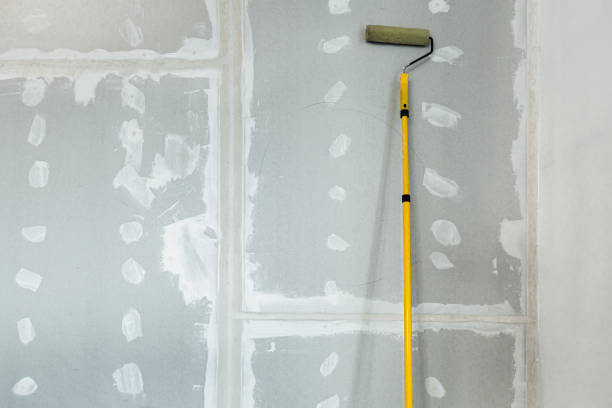 Biohazard Mold Removal in Jacksonville, FL