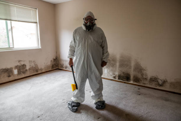 Asbestos and Lead Testing During Mold Inspection in Jacksonville, FL