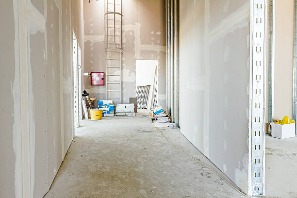 Best Mold Odor Removal Services  in Jacksonville, FL