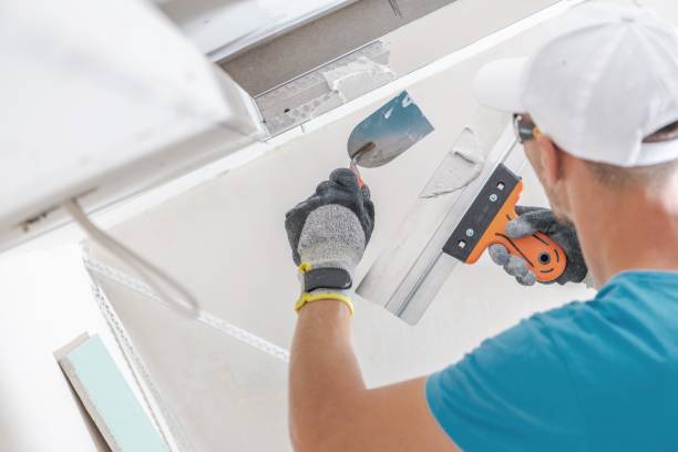 Best Commercial Mold Inspection  in Jacksonville, FL
